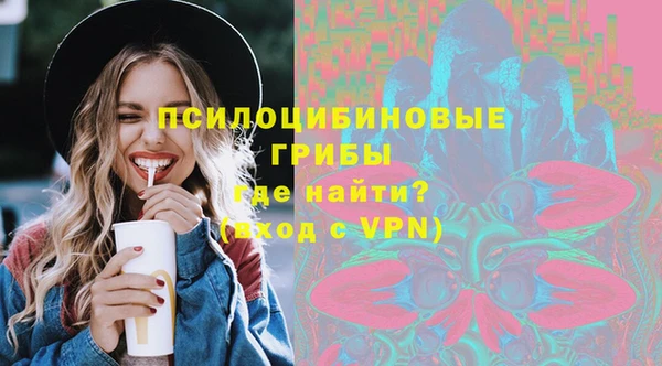 ПСИЛОЦИБИНОВЫЕ ГРИБЫ Арсеньев