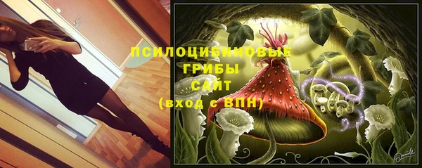 прущий лед Алзамай