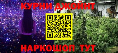 индика Заволжье