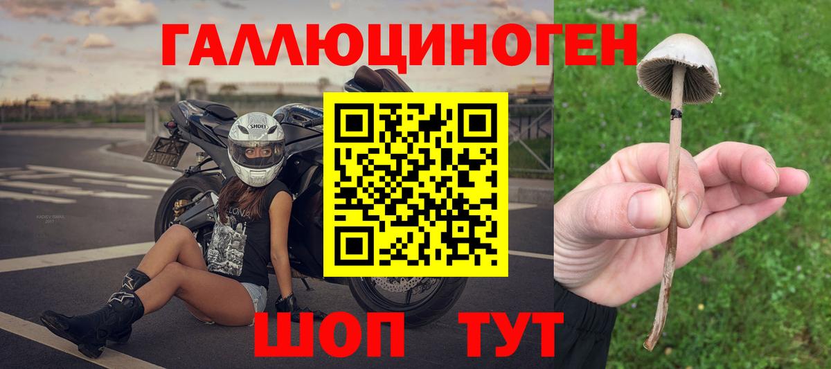 Галлюциногенные грибы прущие грибы  Галлюциногенные грибы Psilocybe  хочу наркоту  Вход с VPN  Волхов 
