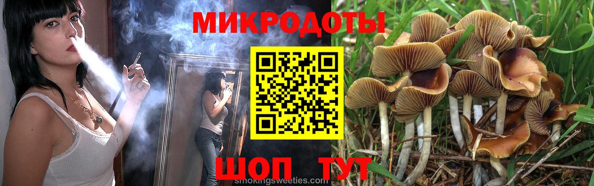 Псилоцибиновые грибы ЛСД Волхов