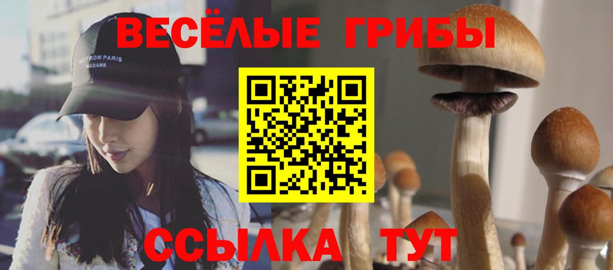 Псилоцибиновые грибы мицелий  Вход с VPN  Волхов 