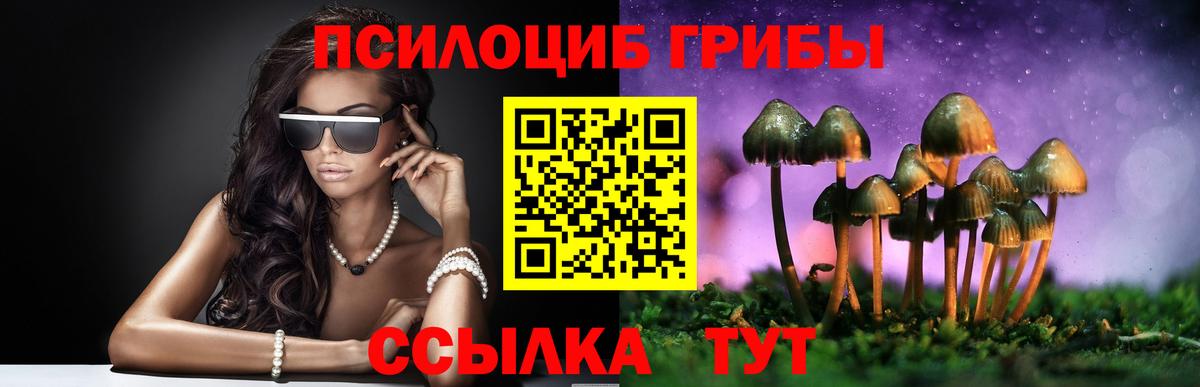 Галлюциногенные грибы Psilocybine cubensis Волхов